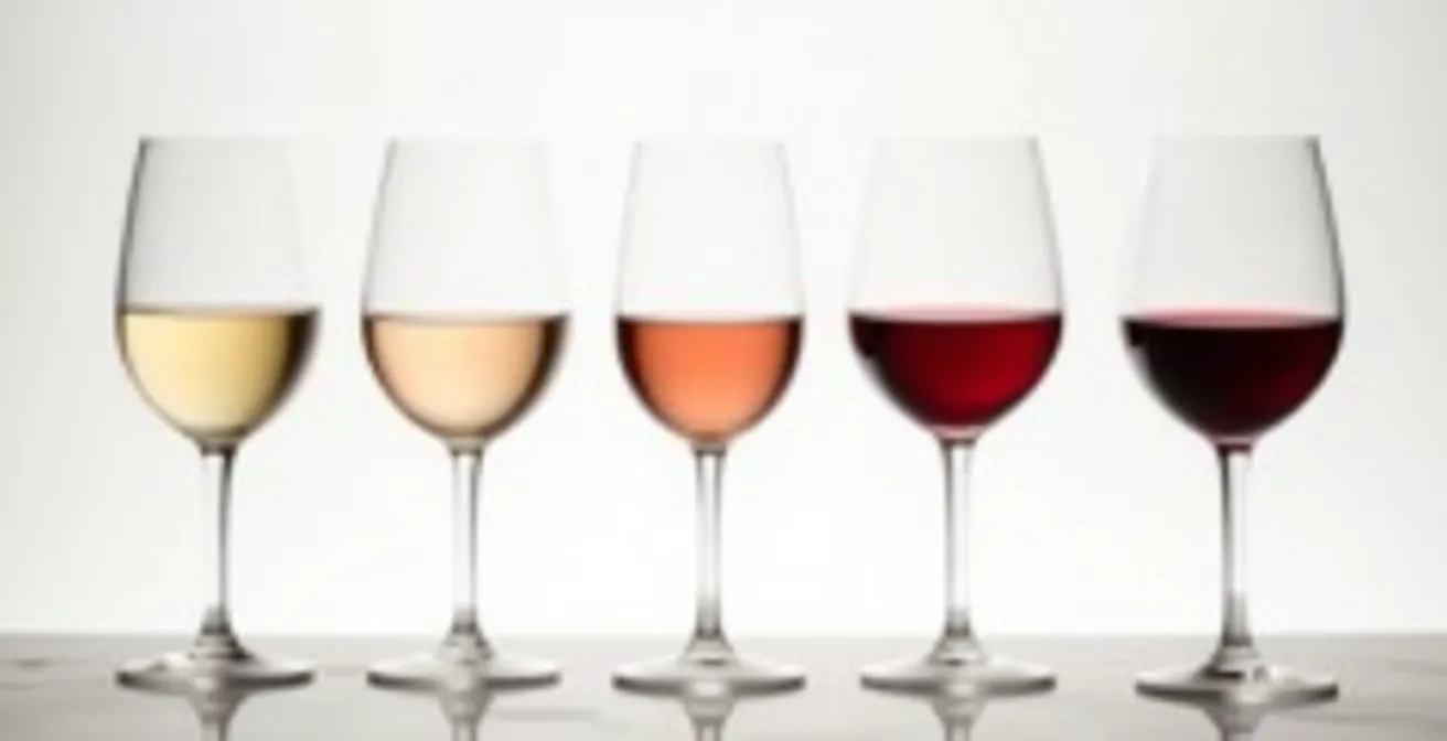 Disposition créative de verres de vin montrant différents profils gustatifs par couleur et intensité