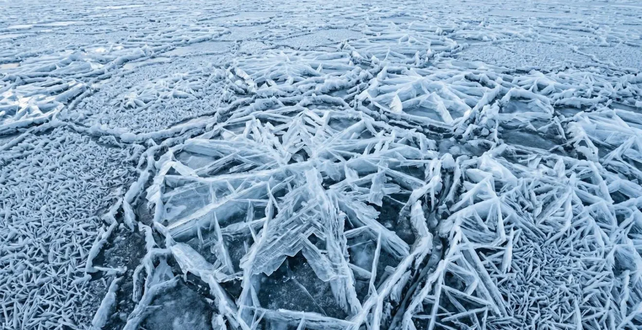 Vue microscopique de cristaux de glace dans la texture d'un produit surgelé